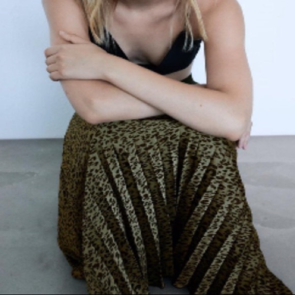 Printed Pleated Khaki Skirt Zara - Picture 1 of 5